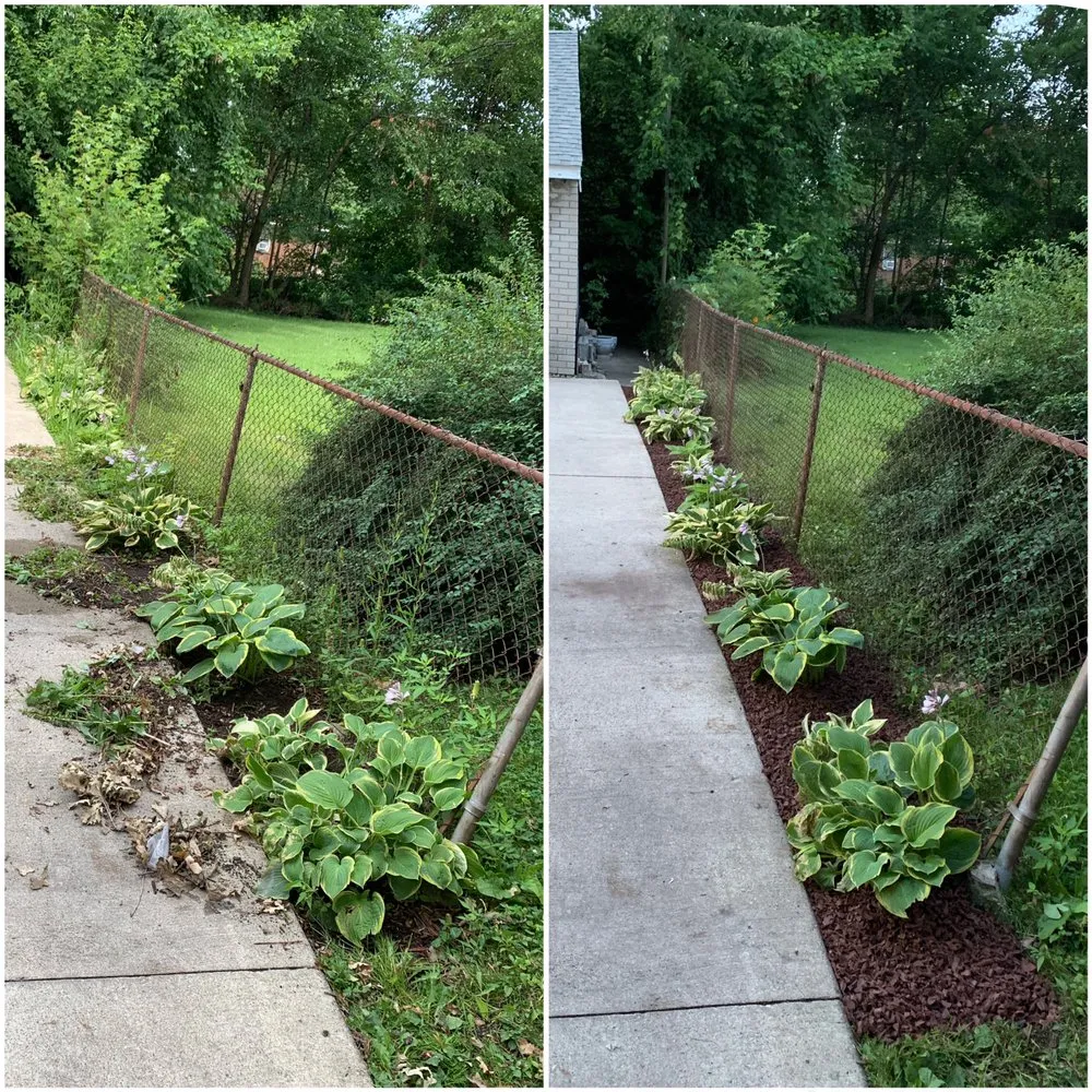 Affordable lawn care service in Detroit, MI - Fakhouri Services