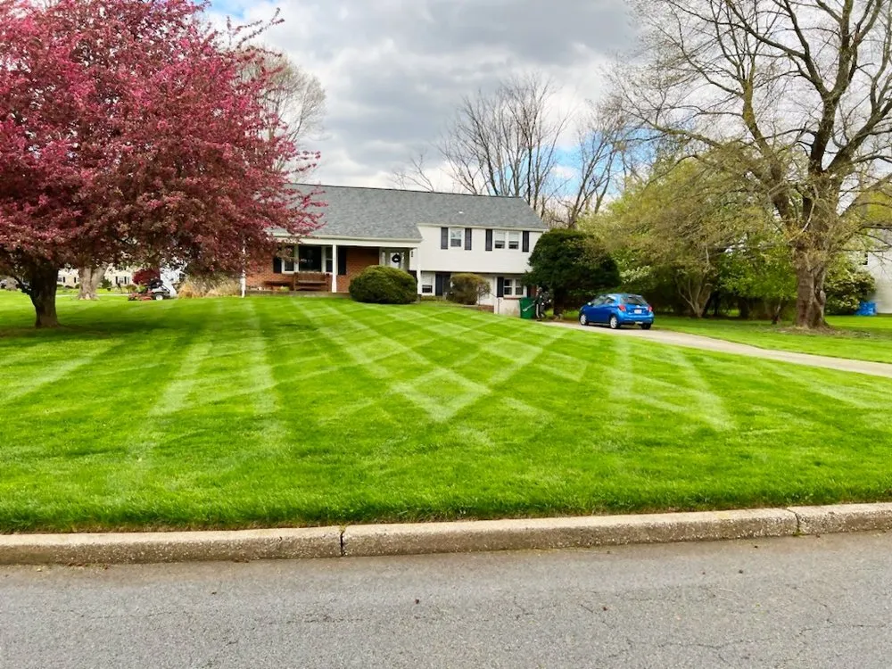 Reliable yard maintenance experts serving Blue Bell, PA - Falco Landscaping