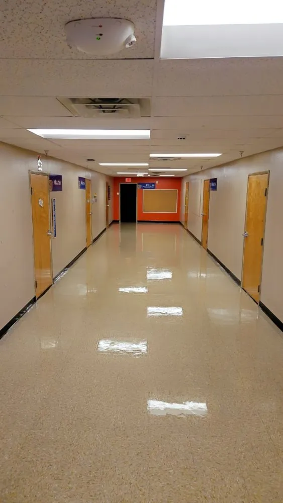 Affordable landscaping services in Albuquerque, NM - Falcon Cleaning