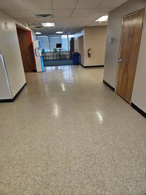 Falcon Cleaning Logo