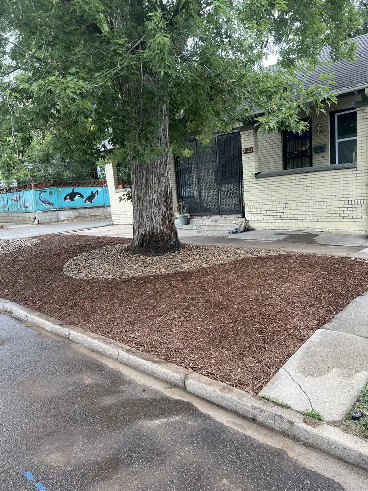 Professional garden landscaping in Aurora, CO by Falcon Design’s