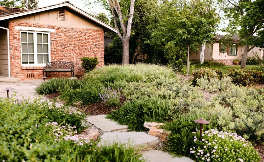 Professional lawn care service for year-round maintenance across Santa Cruz, CA - Falcon Gardening