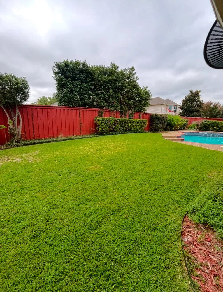 Professional yard maintenance in Arlington, TX by Falcon Landscaping And Tree Services