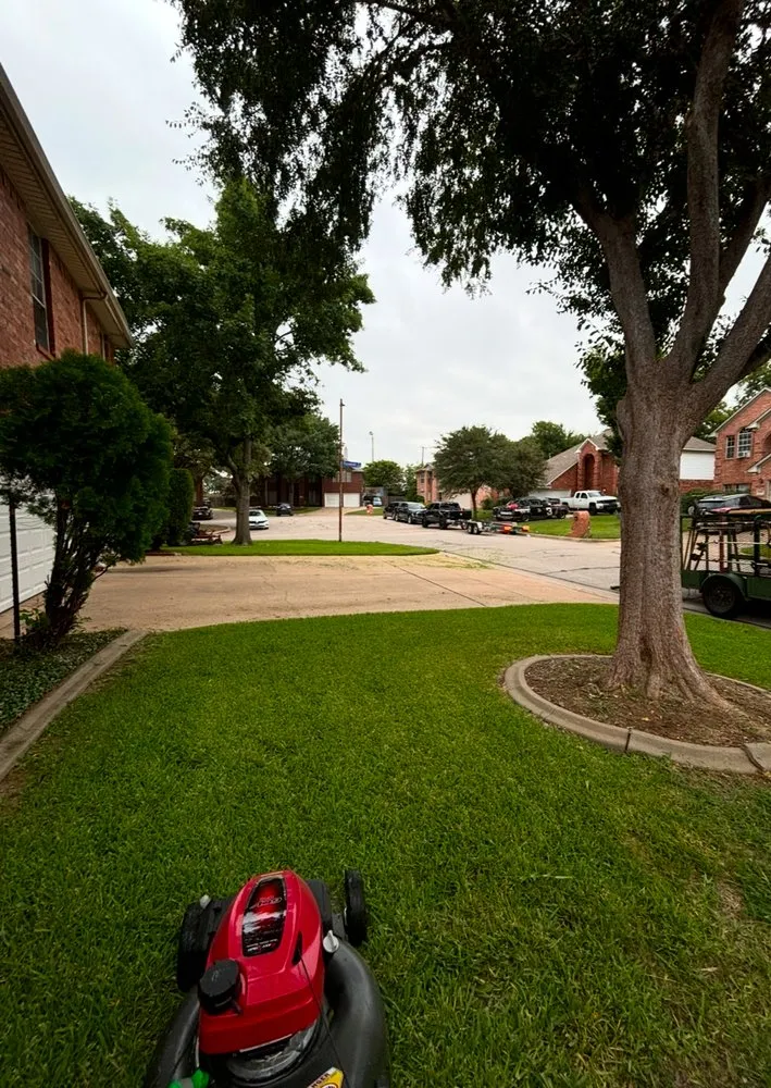 Professional lawn mowing service in Arlington, TX - Falcon Landscaping And Tree Services