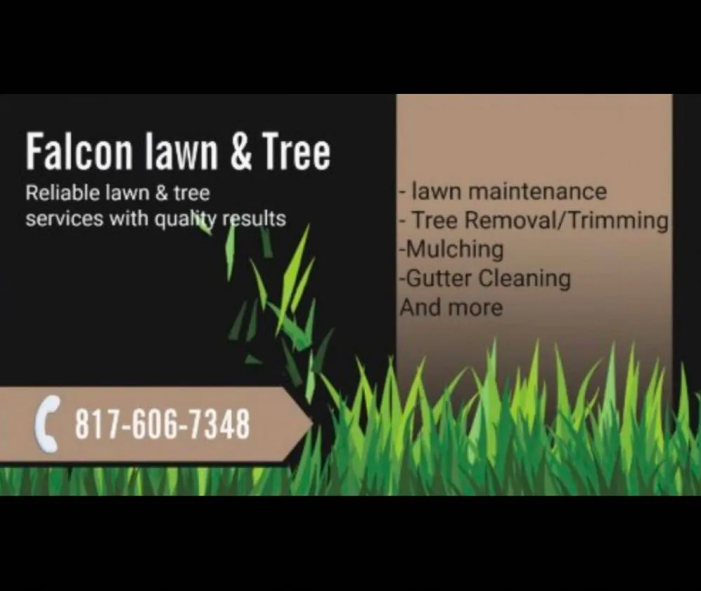 Expert landscape installation for year-round maintenance across Arlington, TX - Falcon Landscaping And Tree Services
