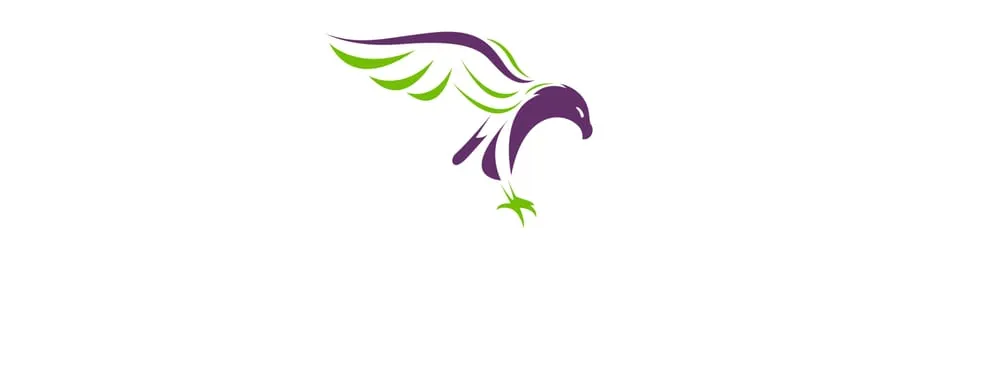 Expert landscape design near you in Orlando, FL by Falcon Lawn & Pest