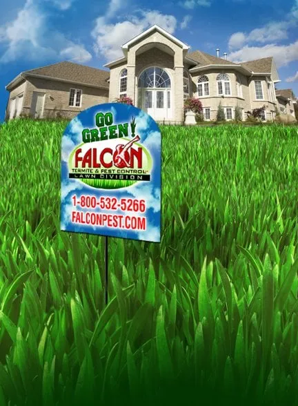 Custom residential landscaping experts serving Orlando, FL - Falcon Lawn & Pest