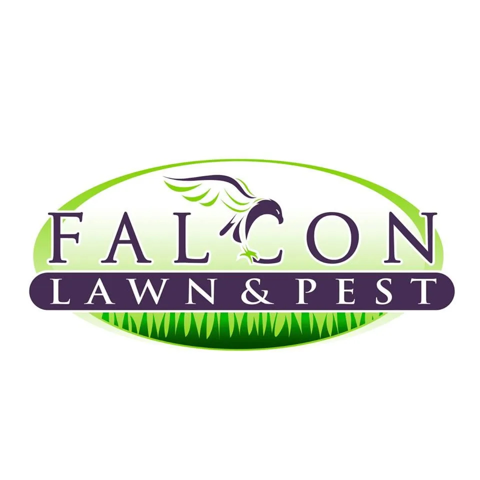 Affordable landscaping services for residential properties in Orlando, FL by Falcon Lawn & Pest