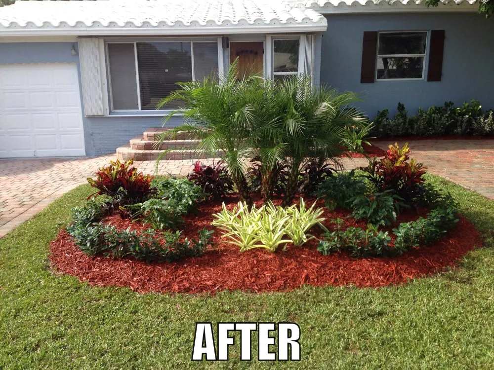 Professional yard cleanup service in Miami, FL - Falcon Pro Lawn