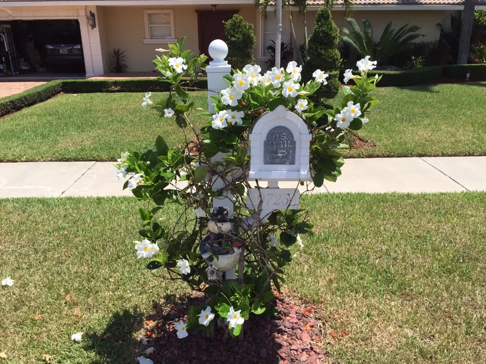 Local lawn care service experts serving Miami, FL - Falcon Pro Lawn