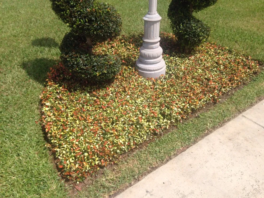 Expert lawn mowing service for residential properties in Miami, FL by Falcon Pro Lawn