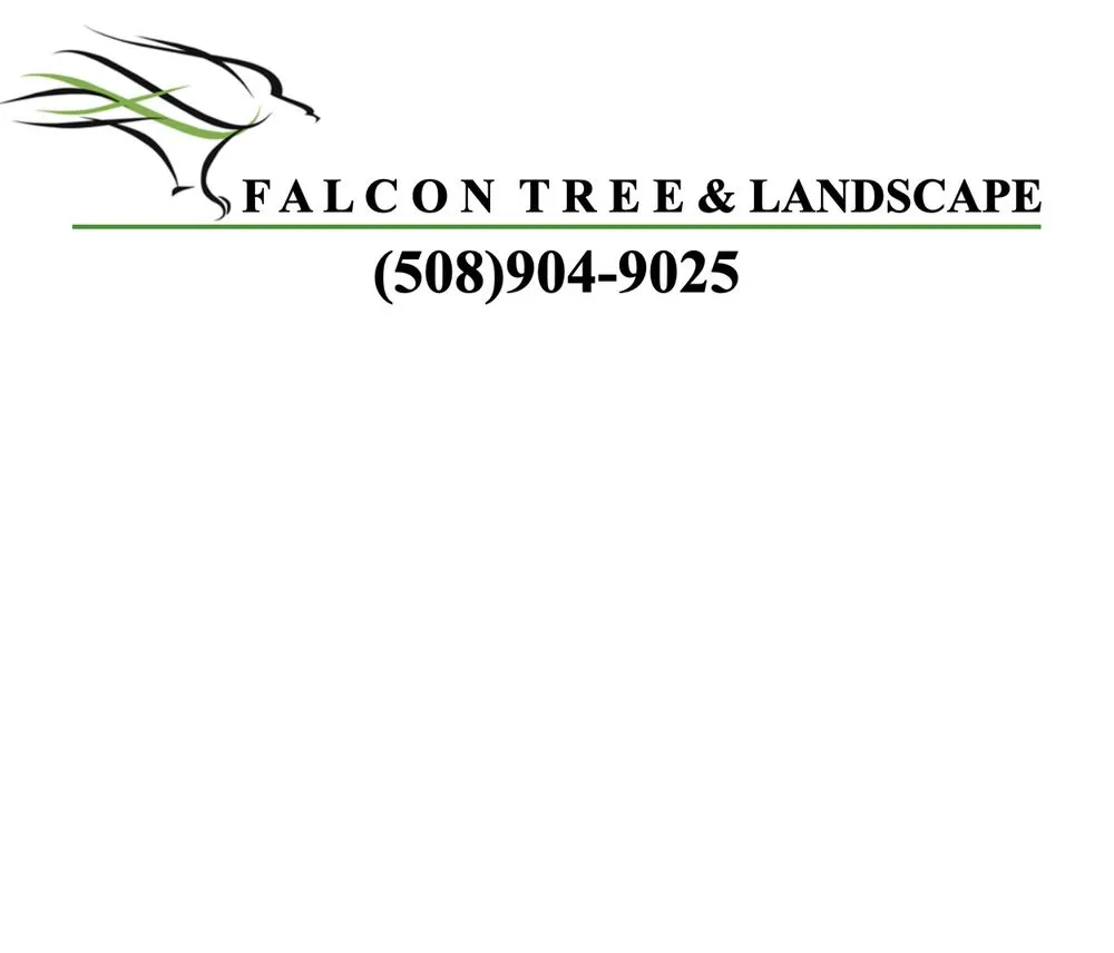 Expert landscaping services for homes in Framingham, MA by Falcon Tree & Landscape