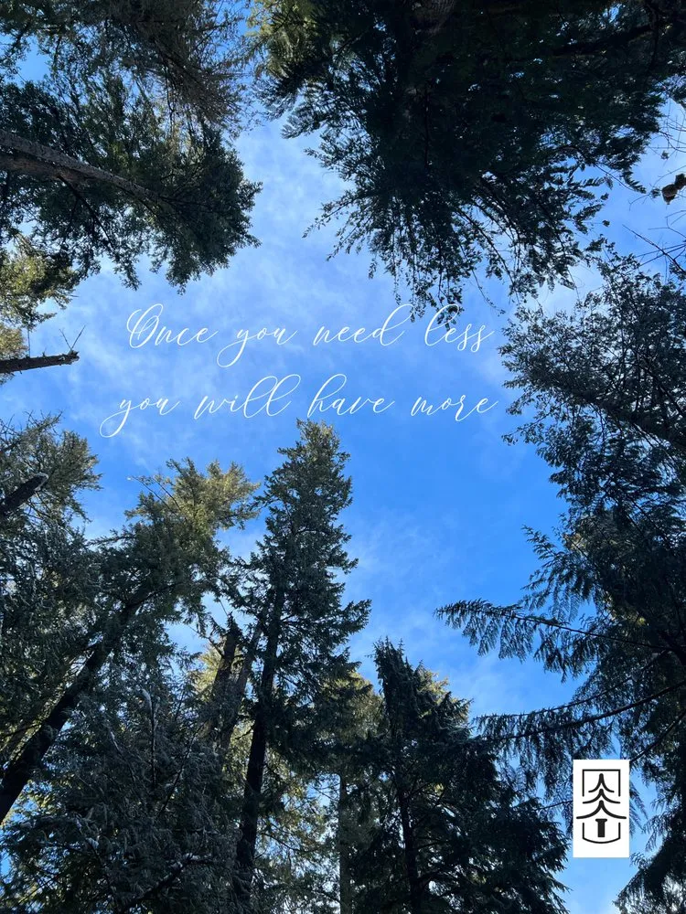 Custom landscape installation in Keizer, OR by Falcon Tree Experts