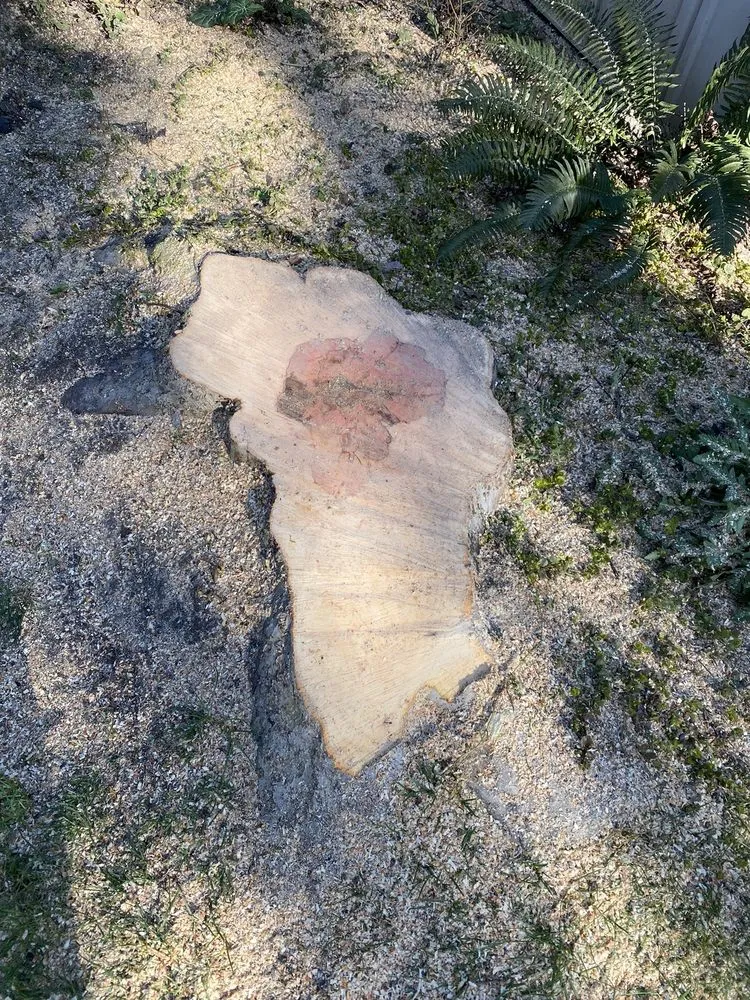 Affordable residential landscaping for residential properties across Keizer, OR - Falcon Tree Experts