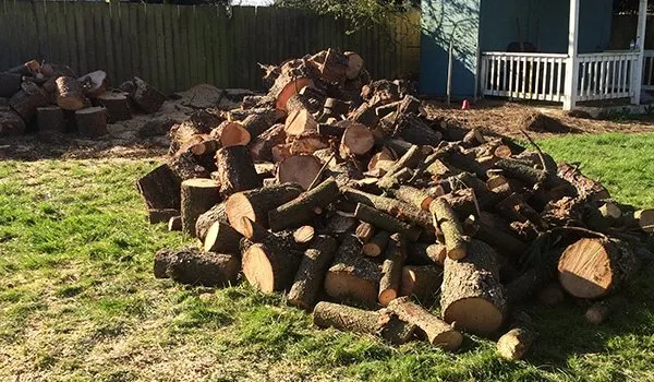 Custom landscape design in Keizer, OR - Falcon Tree Experts