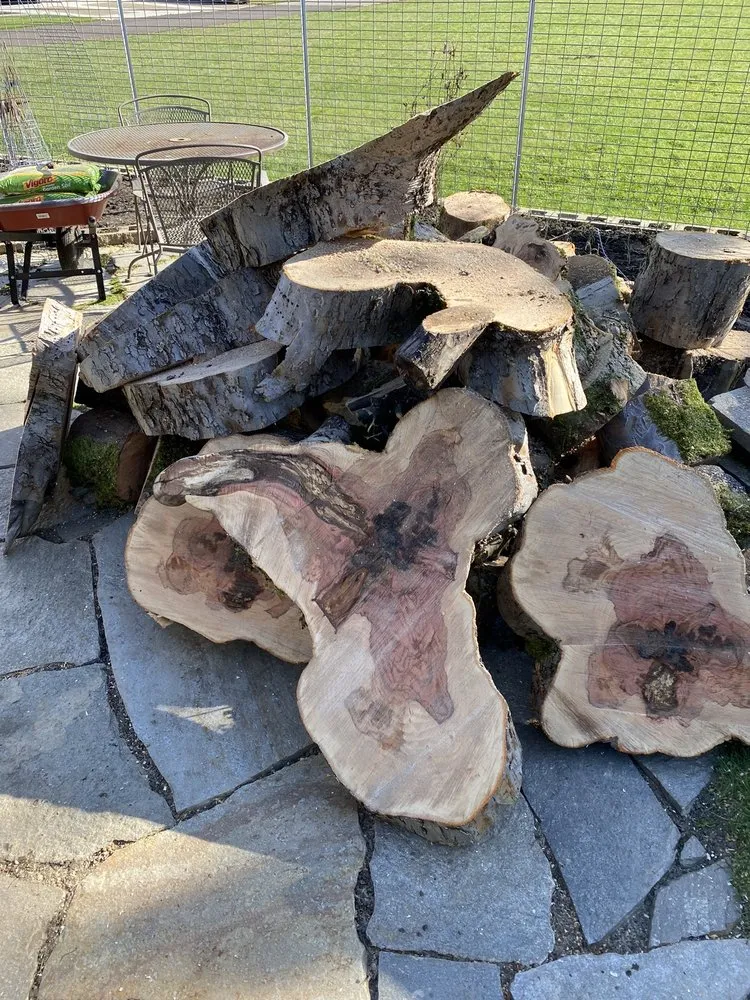 Affordable lawn mowing service with custom design across Keizer, OR - Falcon Tree Experts