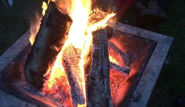 Top-rated landscape installation in Keizer, OR - Falcon Tree Experts