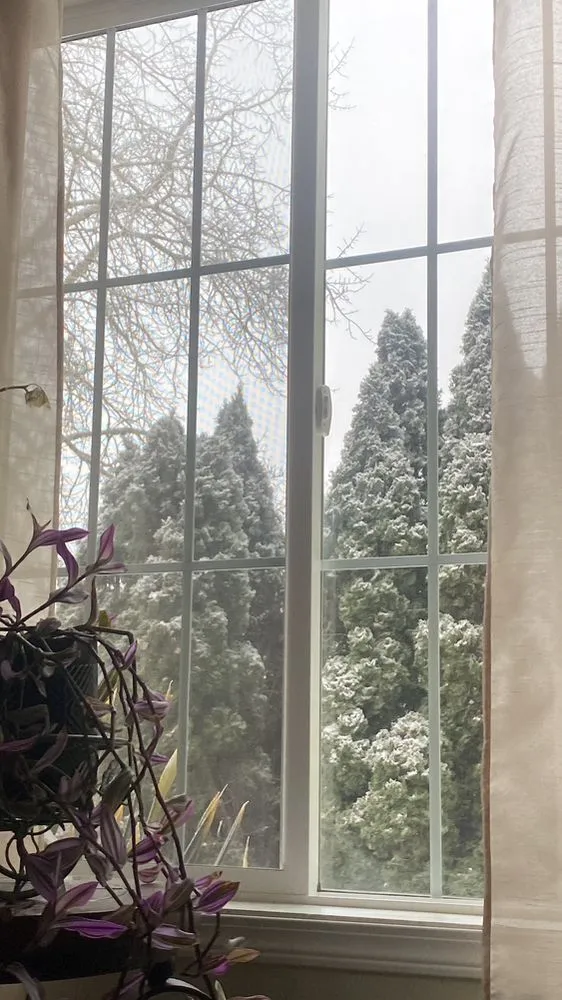 Expert landscaping services in Keizer, OR - Falcon Tree Experts