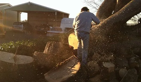 Trusted garden landscaping experts serving Keizer, OR - Falcon Tree Experts