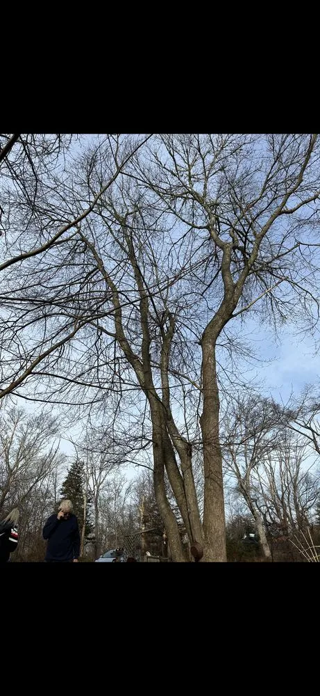 Affordable residential landscaping in Ledyard, CT - Falcone Landscape Design & Maintenance