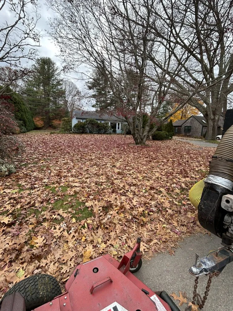 Affordable lawn mowing service experts serving Ledyard, CT - Falcone Landscape Design & Maintenance