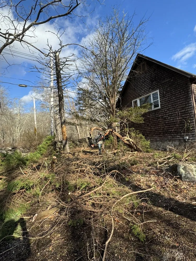 Top-rated lawn mowing service experts serving Ledyard, CT - Falcone Landscape Design & Maintenance