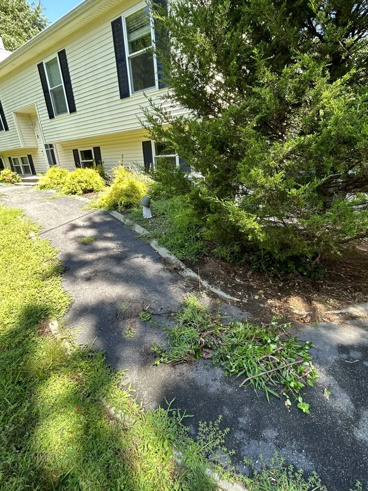 Expert landscaping services for homes across Ledyard, CT - Falcone Landscape Design & Maintenance