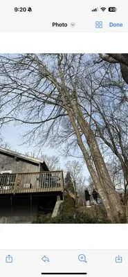 Falcone Landscape Design & Maintenance