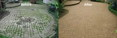 Top-rated lawn mowing service in Havertown, PA - Falcone Paving Concrete & Landscaping