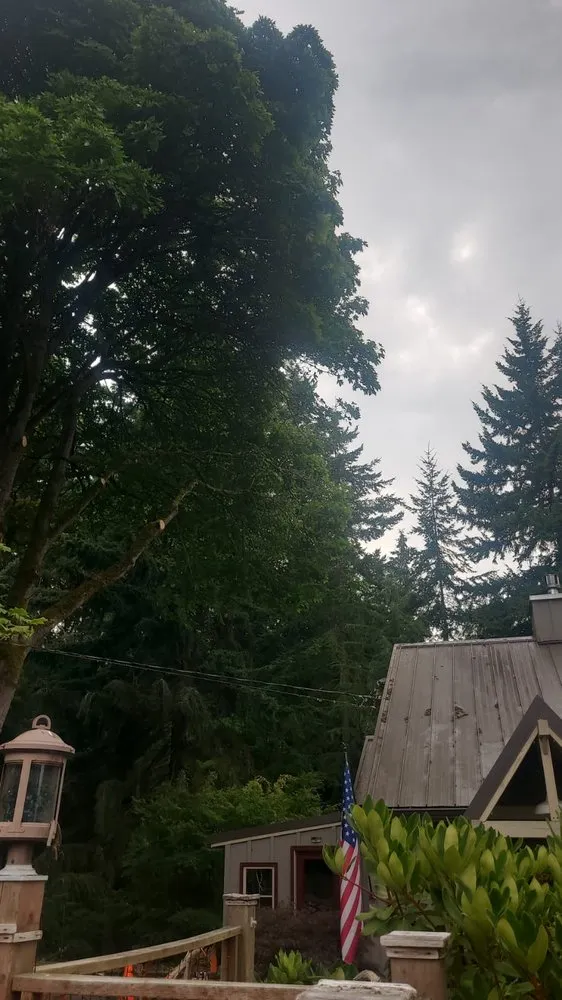 Professional lawn care service for residential properties in Belfair, WA by Falcons Landscaping & Tree Services