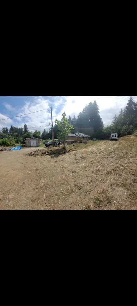 Expert landscaping services for residential properties in Belfair, WA by Falcons Landscaping & Tree Services