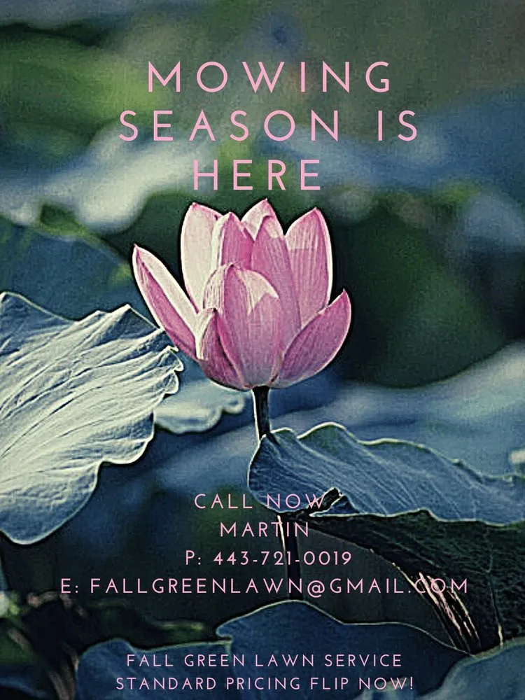 Expert landscape design experts serving Baltimore, MD - Fall Green Lawn Services