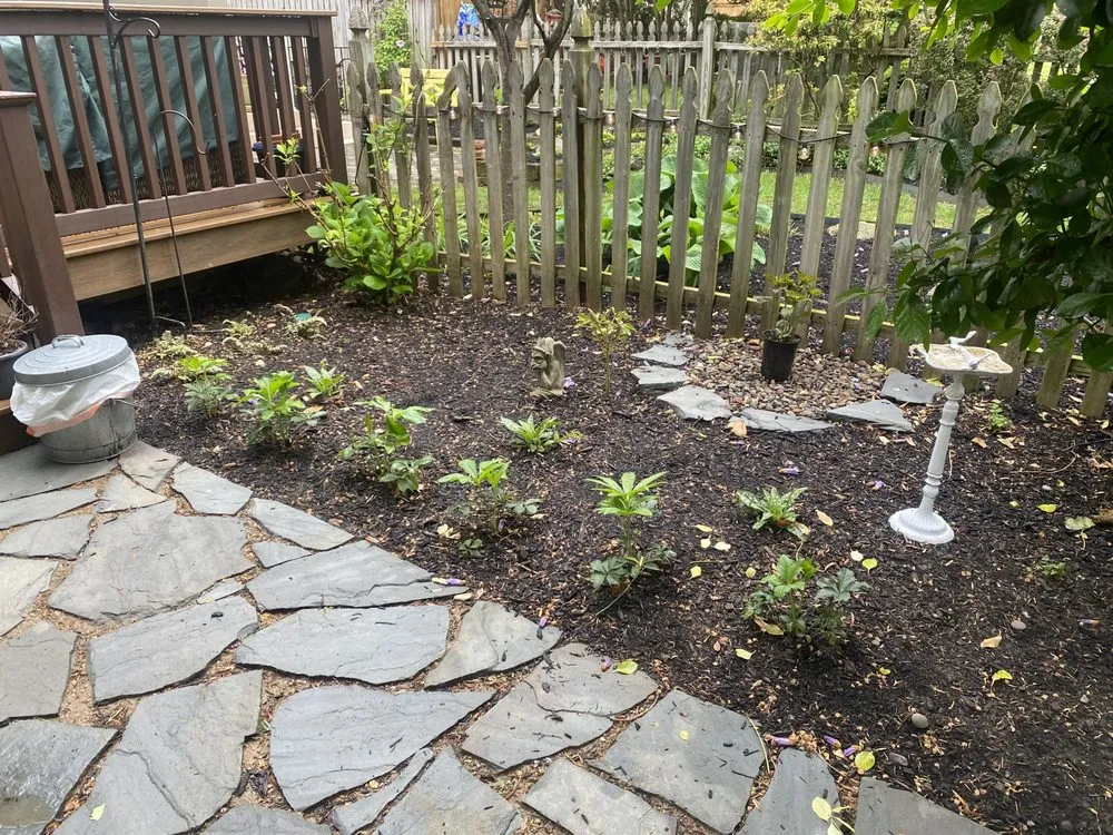 Trusted yard maintenance in Baltimore, MD by Fall Green Lawn Services