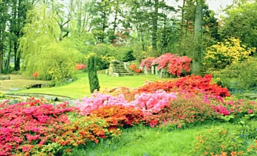 Top-rated landscaping services in Sparta, NJ by Fall Guys