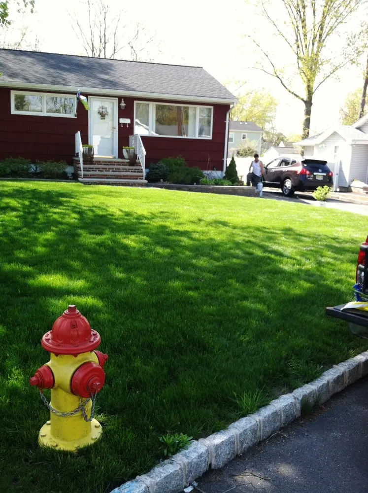 Reliable yard maintenance experts serving Sparta, NJ - Fall Guys