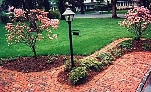 Reliable landscaping services in Sparta, NJ by Fall Guys