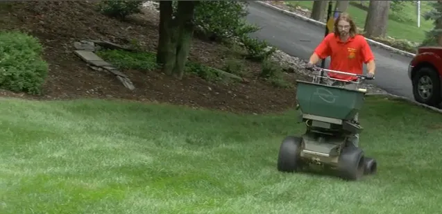 Custom lawn care service with custom design across Sparta, NJ - Fall Guys
