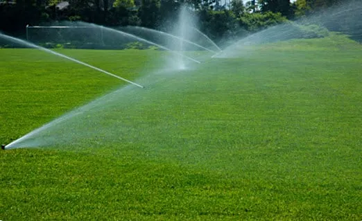 Affordable residential landscaping for residential properties in Sparta, NJ by Fall Guys