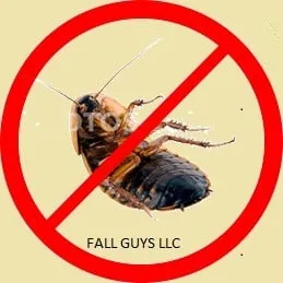 Affordable yard cleanup service in Sparta, NJ by Fall Guys