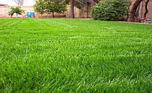 Expert lawn care service in Sparta, NJ - Fall Guys