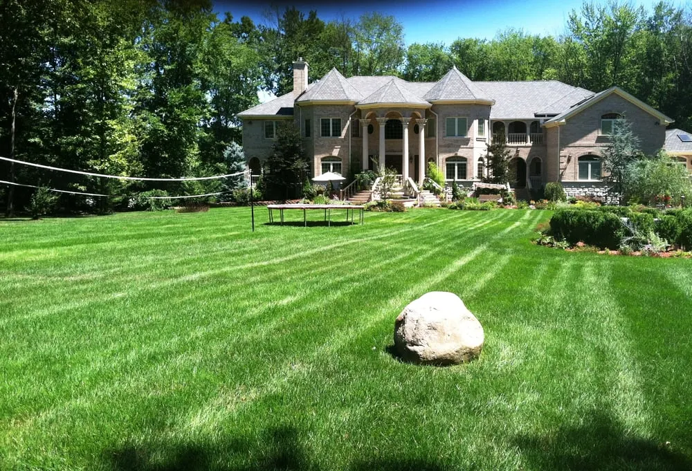 Professional yard cleanup service in Sparta, NJ - Fall Guys