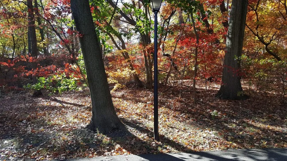 Top-rated lawn mowing service near you in Sparta, NJ by Fall Guys