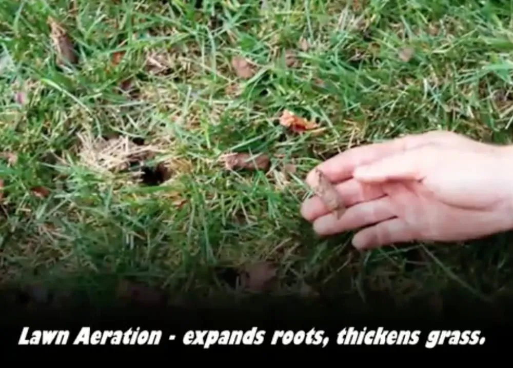 Professional outdoor landscaping for year-round maintenance across Sparta, NJ - Fall Guys