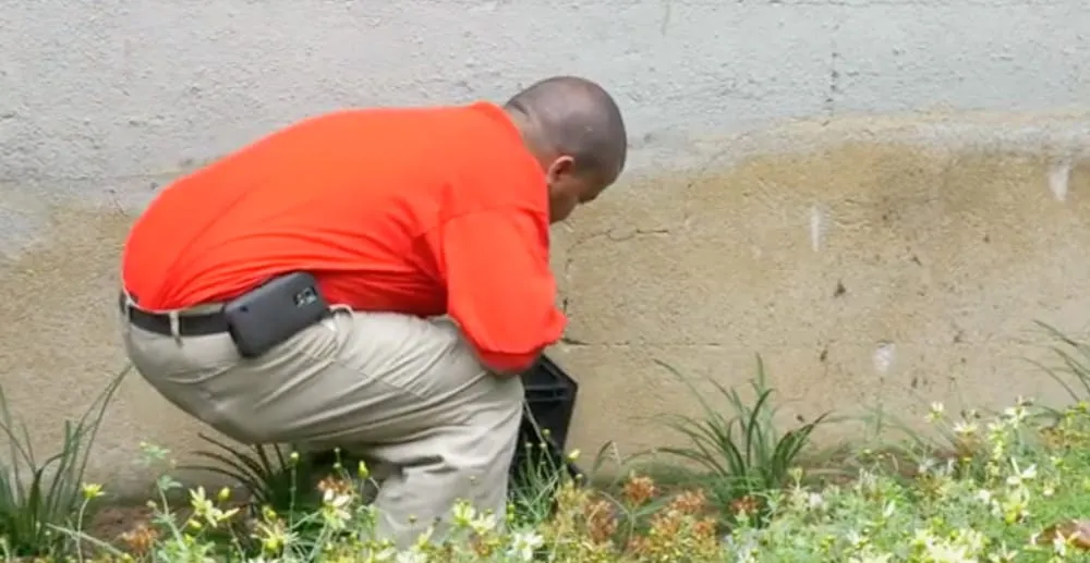 Affordable yard cleanup service in Sparta, NJ by Fall Guys