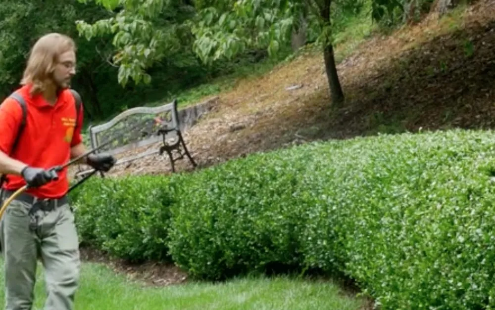 Local lawn care service in Sparta, NJ - Fall Guys