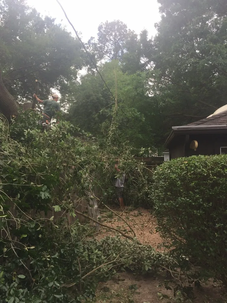 Local lawn mowing service in Houston, TX - Fall Landscape