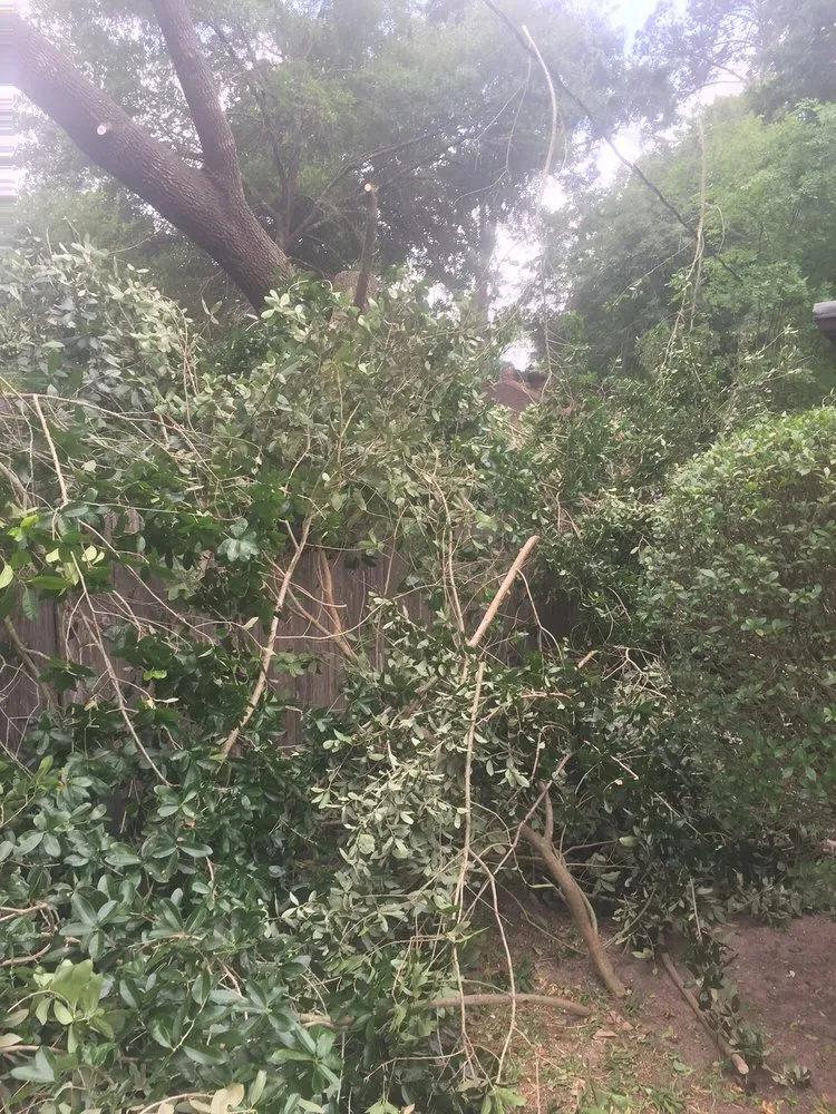 Local lawn care service for residential properties across Houston, TX - Fall Landscape