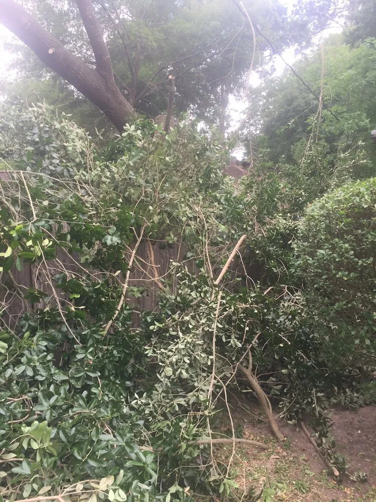 Local yard cleanup service near you across Houston, TX - Fall Landscape