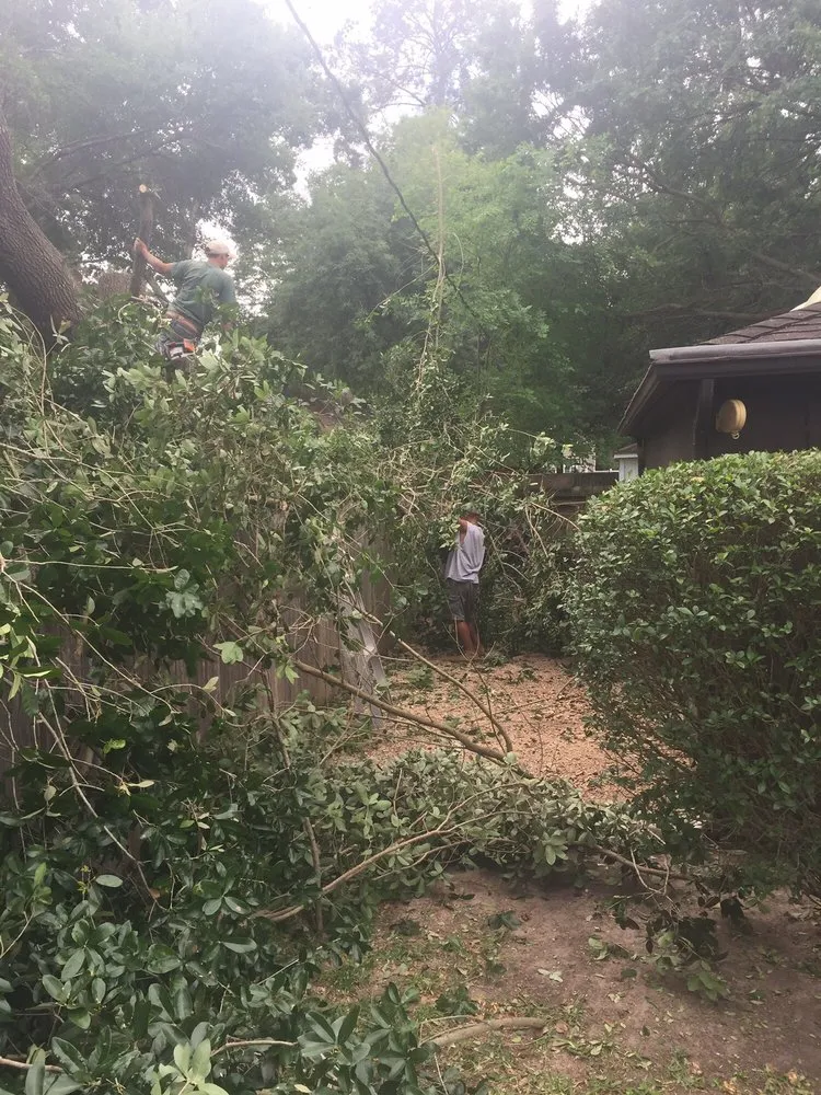 Professional landscape design for homes in Houston, TX by Fall Landscape