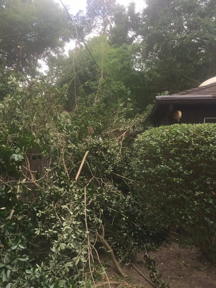 Professional yard maintenance for residential properties in Houston, TX by Fall Landscape